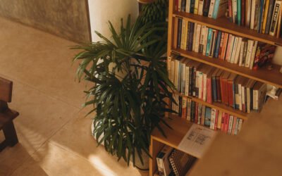6 Yoga Books Every New Teacher Should Actually Finish