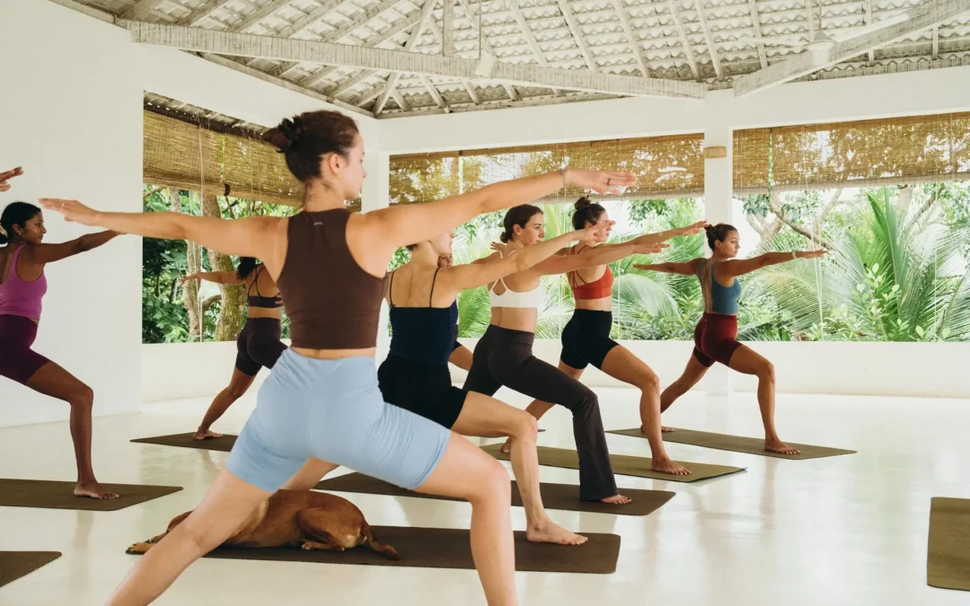 Choosing the Right 200-Hour Yoga Teacher Training in Sri Lanka: A Practical Guide
