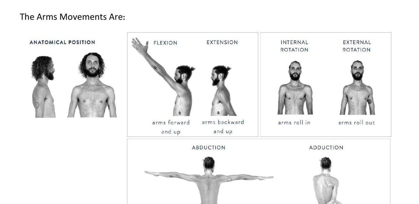 Photo series showing arm movements flexion extension internal rotation external rotation abduction adduction